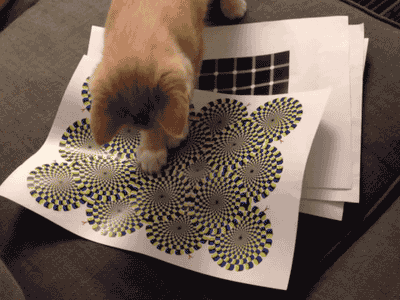 Optische Täuschung für die Katz